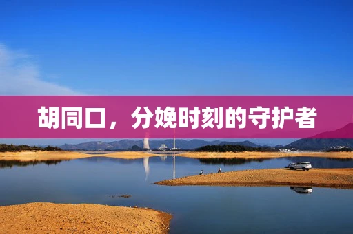 胡同口，分娩时刻的守护者