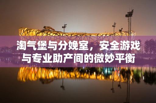 淘气堡与分娩室，安全游戏与专业助产间的微妙平衡