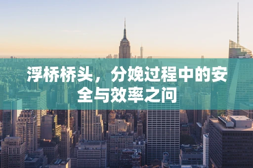 浮桥桥头，分娩过程中的安全与效率之问
