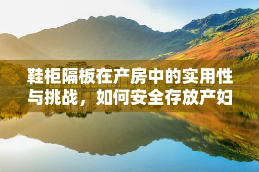 鞋柜隔板在产房中的实用性与挑战，如何安全存放产妇用品？