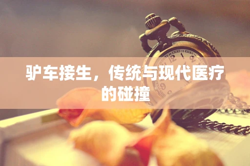 驴车接生，传统与现代医疗的碰撞