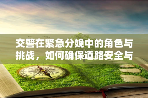 交警在紧急分娩中的角色与挑战，如何确保道路安全与生命救援并进？