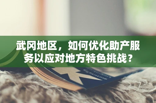 武冈地区，如何优化助产服务以应对地方特色挑战？