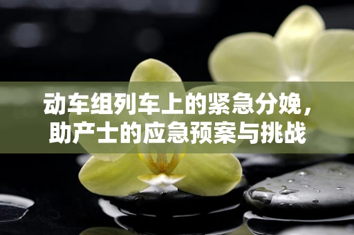 动车组列车上的紧急分娩，助产士的应急预案与挑战