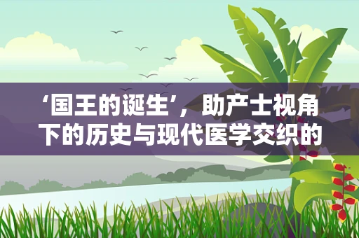 ‘国王的诞生’，助产士视角下的历史与现代医学交织的奇迹