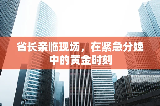 省长亲临现场，在紧急分娩中的黄金时刻