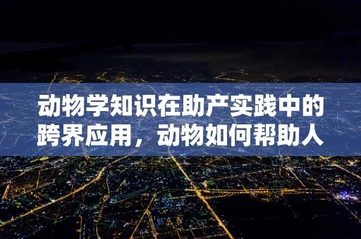 动物学知识在助产实践中的跨界应用，动物如何帮助人类分娩？