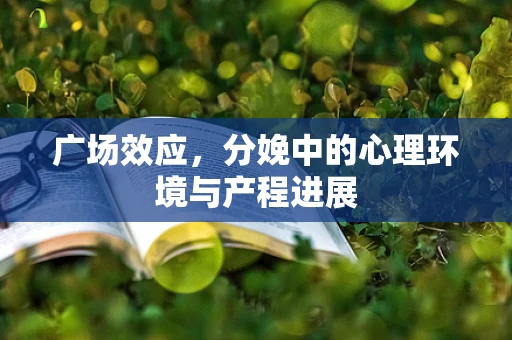 广场效应，分娩中的心理环境与产程进展