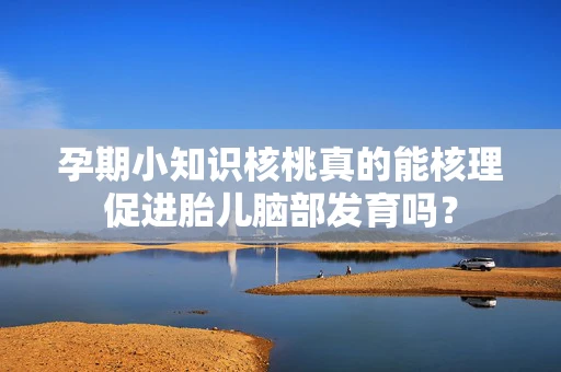 孕期小知识核桃真的能核理促进胎儿脑部发育吗？