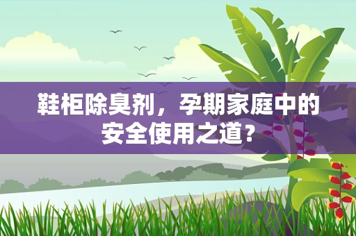 鞋柜除臭剂，孕期家庭中的安全使用之道？