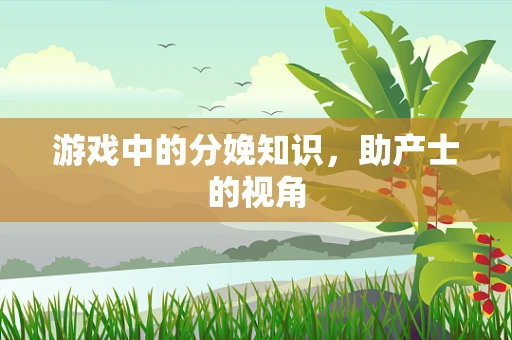 游戏中的分娩知识，助产士的视角