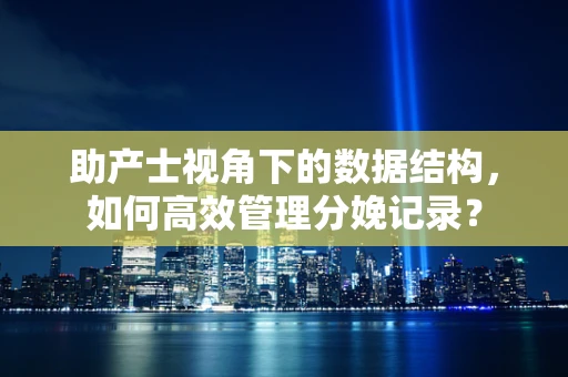 助产士视角下的数据结构，如何高效管理分娩记录？