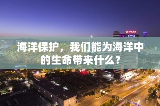 海洋保护，我们能为海洋中的生命带来什么？
