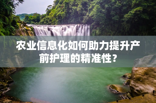 农业信息化如何助力提升产前护理的精准性？