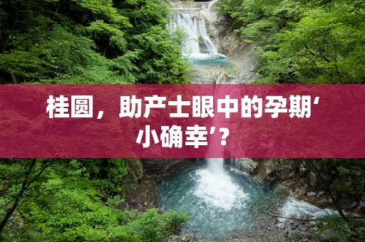 桂圆，助产士眼中的孕期‘小确幸’？