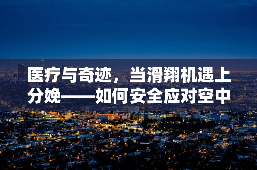 医疗与奇迹，当滑翔机遇上分娩——如何安全应对空中分娩的比喻？