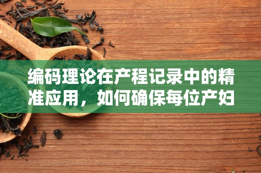 编码理论在产程记录中的精准应用，如何确保每位产妇的独特经历被准确无误地记录？