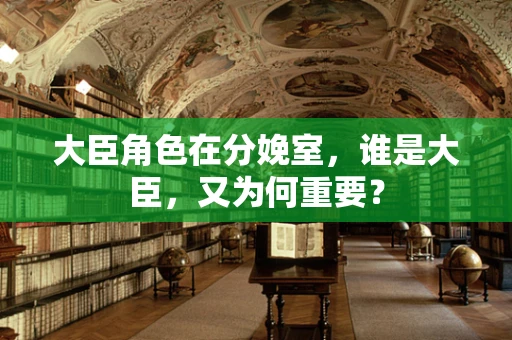 大臣角色在分娩室，谁是大臣，又为何重要？