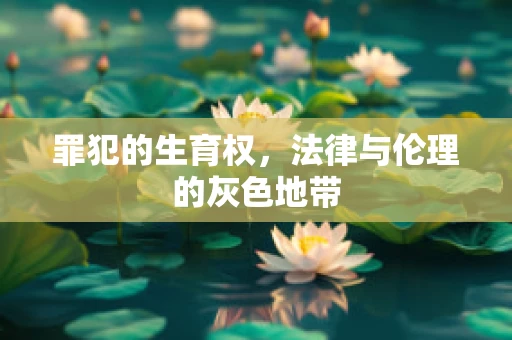 罪犯的生育权，法律与伦理的灰色地带