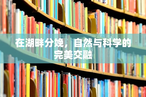 在湖畔分娩，自然与科学的完美交融