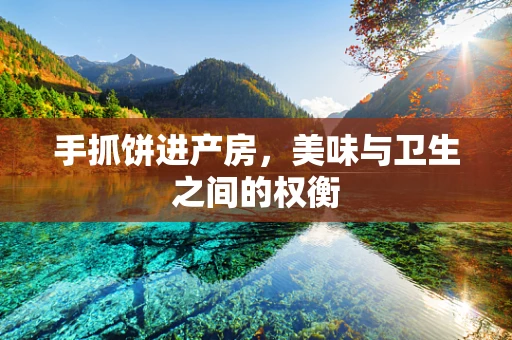 手抓饼进产房，美味与卫生之间的权衡
