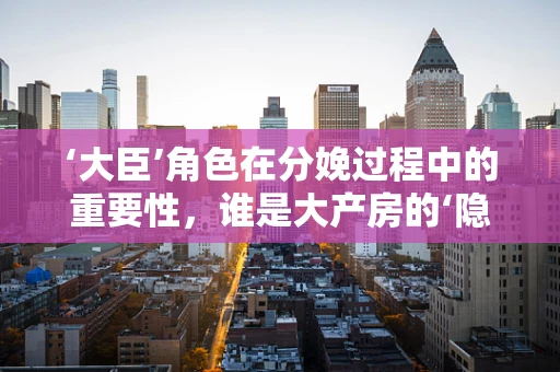 ‘大臣’角色在分娩过程中的重要性，谁是大产房的‘隐形守护者’？