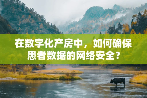 在数字化产房中，如何确保患者数据的网络安全？
