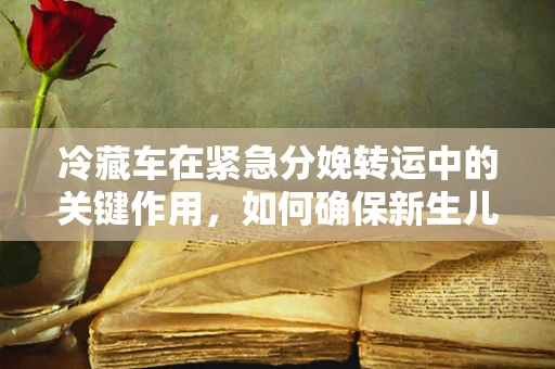 冷藏车在紧急分娩转运中的关键作用，如何确保新生儿安全？