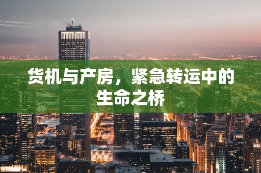 货机与产房，紧急转运中的生命之桥
