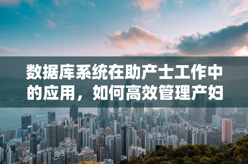 数据库系统在助产士工作中的应用，如何高效管理产妇信息？