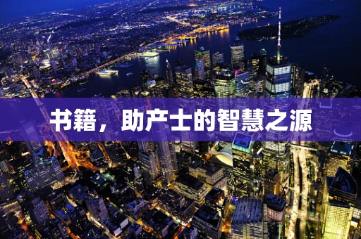 书籍，助产士的智慧之源