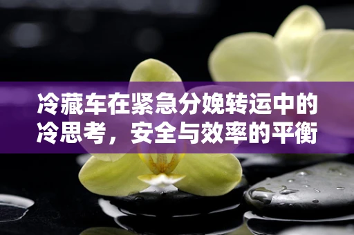 冷藏车在紧急分娩转运中的冷思考，安全与效率的平衡点在哪里？