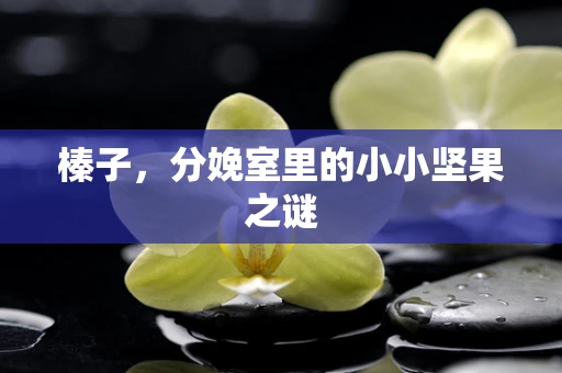 榛子，分娩室里的小小坚果之谜