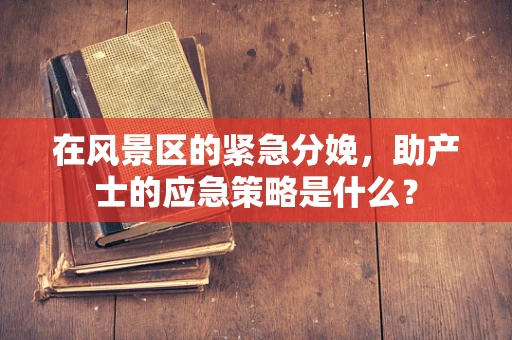 在风景区的紧急分娩，助产士的应急策略是什么？