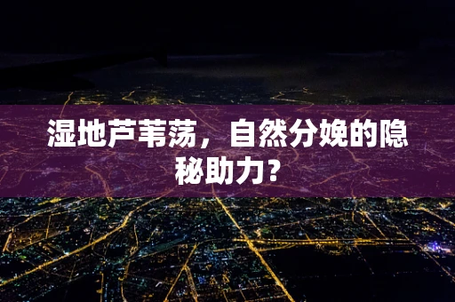 湿地芦苇荡，自然分娩的隐秘助力？