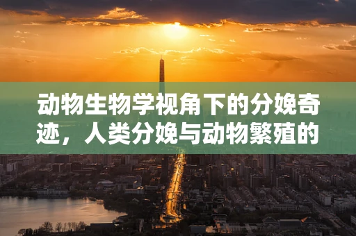 动物生物学视角下的分娩奇迹，人类分娩与动物繁殖的异同