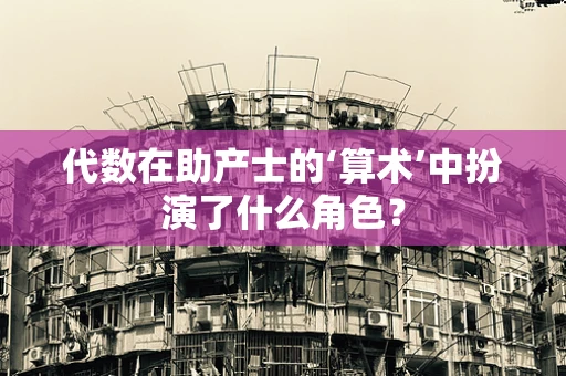 代数在助产士的‘算术’中扮演了什么角色？