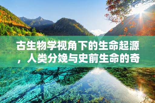 古生物学视角下的生命起源，人类分娩与史前生命的奇妙联系？
