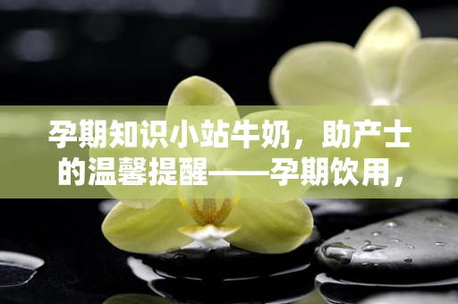 孕期知识小站牛奶，助产士的温馨提醒——孕期饮用，安全与营养并重？