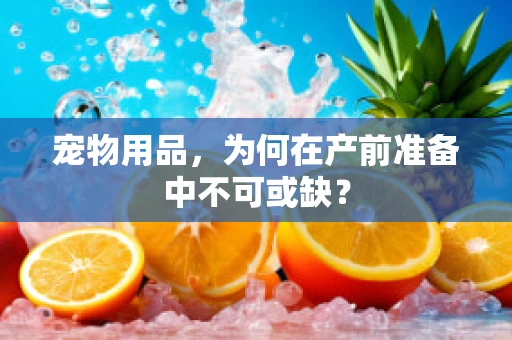 宠物用品，为何在产前准备中不可或缺？