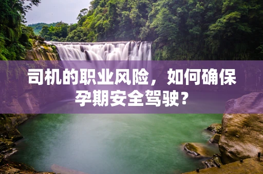 司机的职业风险，如何确保孕期安全驾驶？
