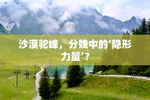 沙漠驼峰，分娩中的‘隐形力量’？