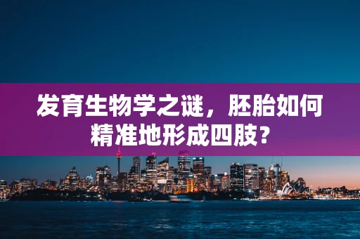 发育生物学之谜，胚胎如何精准地形成四肢？
