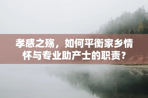 孝感之殇，如何平衡家乡情怀与专业助产士的职责？