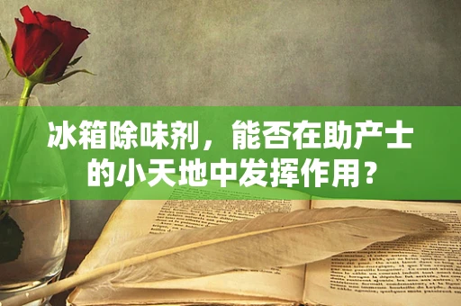 冰箱除味剂，能否在助产士的小天地中发挥作用？