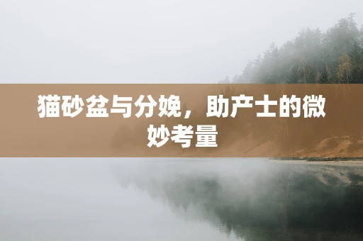 猫砂盆与分娩，助产士的微妙考量