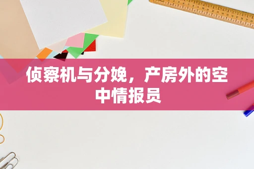 侦察机与分娩，产房外的空中情报员