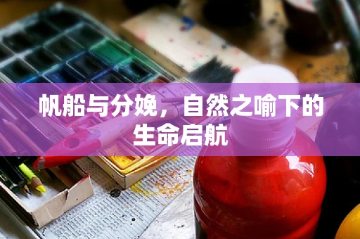 帆船与分娩，自然之喻下的生命启航
