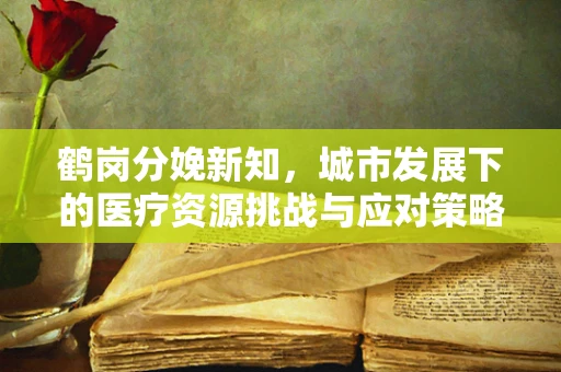 鹤岗分娩新知，城市发展下的医疗资源挑战与应对策略