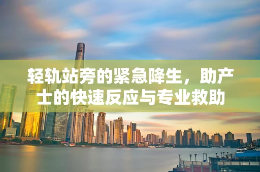 轻轨站旁的紧急降生，助产士的快速反应与专业救助